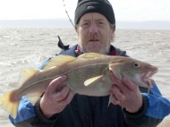 Cod fishing in the Bristol Channel