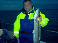 Bristol Channel Ling