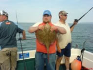 Small Eyed Ray fishing in the Bristol Channel