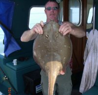 Small Eyed Ray fishing in the Bristol Channel