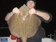 Small Eyed Ray fishing in the Bristol Channel