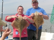 Small Eyed Ray fishing in the Bristol Channel