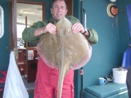 Small Eyed Ray fishing in the Bristol Channel