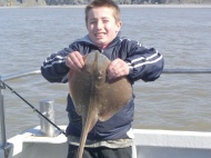 Small Eyed Ray fishing in the Bristol Channel
