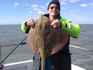 Small Eyed Ray fishing in the Bristol Channel