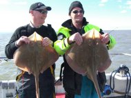 Small Eyed Ray fishing in the Bristol Channel