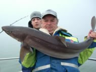 Spurdog fishing in the Bristol Channel