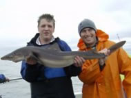 Spurdog fishing in the Bristol Channel