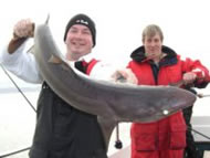 Spurdog fishing in the Bristol Channel