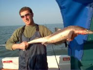 Spurdog fishing in the Bristol Channel