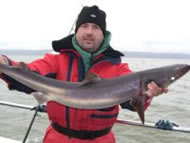 Spurdog fishing in the Bristol Channel