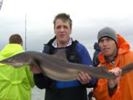 Spurdog fishing in the Bristol Channel