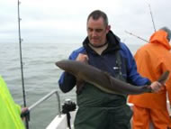 Spurdog fishing in the Bristol Channel