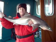 Spurdog fishing in the Bristol Channel