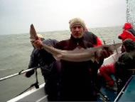 Spurdog fishing in the Bristol Channel