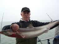 Spurdog fishing in the Bristol Channel