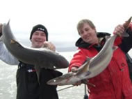 Spurdog fishing in the Bristol Channel