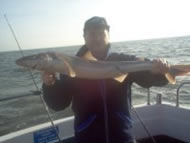 Spurdog fishing in the Bristol Channel