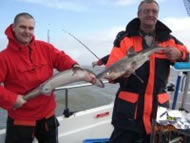Spurdog fishing in the Bristol Channel