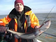 Spurdog fishing in the Bristol Channel