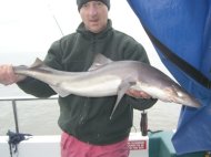 Spurdog fishing in the Bristol Channel