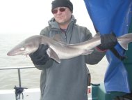 Bristol Channel Spurdog Fishing