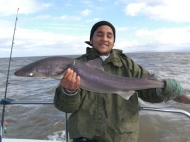 Bristol Channel Spurdog Fishing
