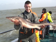 Bristol Channel Spurdog Fishing