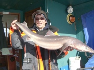 Bristol Channel Spurdog Fishing