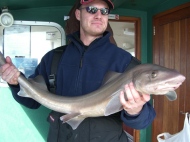 Bristol Channel Spurdog Fishing