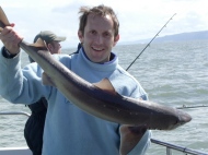 Bristol Channel Spurdog Fishing