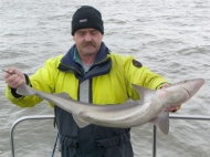 Bristol Channel Spurdog Fishing