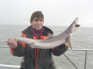 Bristol Channel Spurdog Fishing