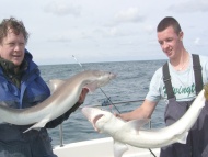 Bristol Channel Spurdog Fishing