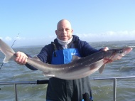 Bristol Channel Spurdog Fishing