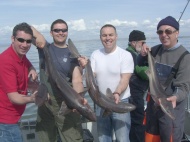 Bristol Channel Spurdog Fishing