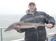 Bristol Channel Spurdog Fishing