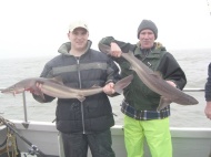 Bristol Channel Spurdog Fishing
