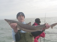 Bristol Channel Spurdog Fishing