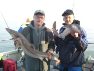 Bristol Channel Spurdog Fishing