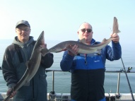 Bristol Channel Spurdog Fishing