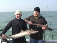 Bristol Channel Spurdog Fishing