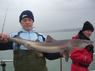 Bristol Channel Spurdog Fishing
