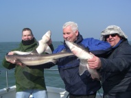 Bristol Channel Spurdog Fishing
