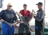 Bristol Channel Spurdog Fishing