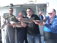 Bristol Channel Spurdog Fishing
