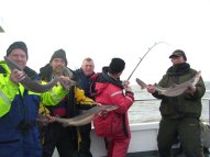 Bristol Channel Spurdog Fishing