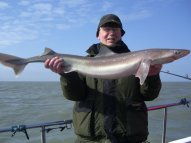 Bristol Channel Spurdog Fishing
