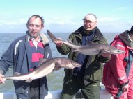 Bristol Channel Spurdog Fishing
