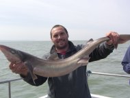 Bristol Channel Spurdog Fishing